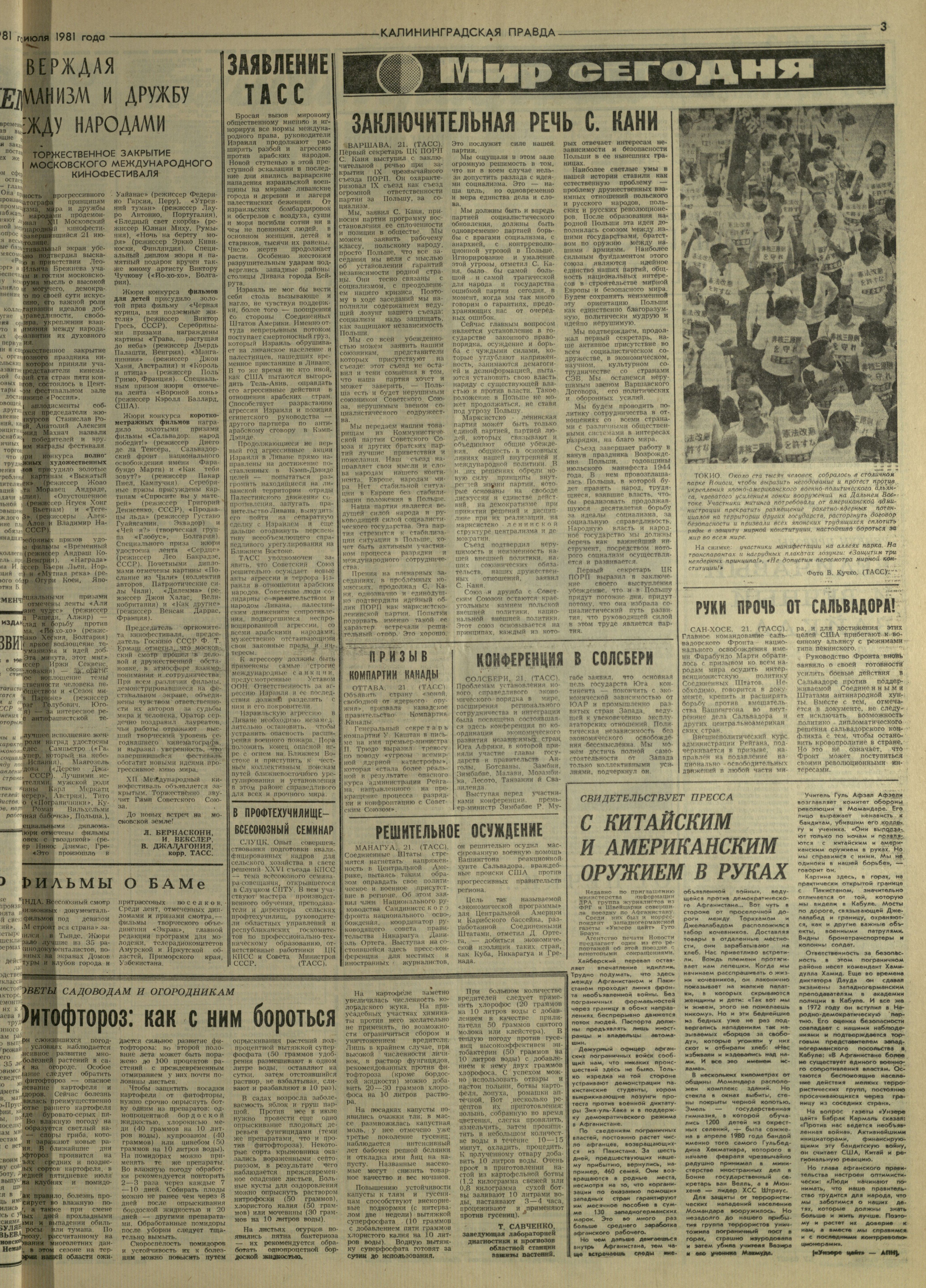 167-7-81-3