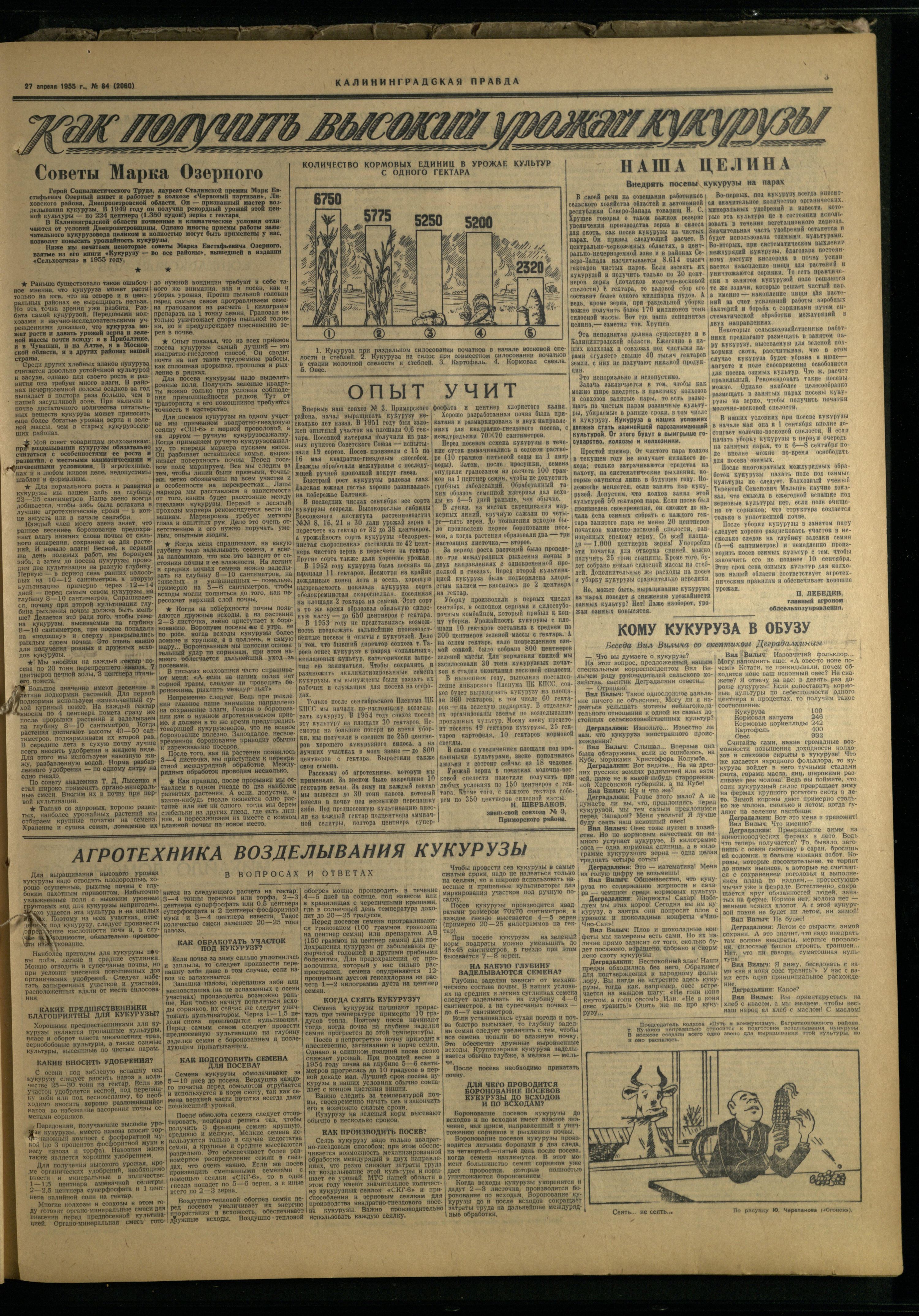 84-4-55-3