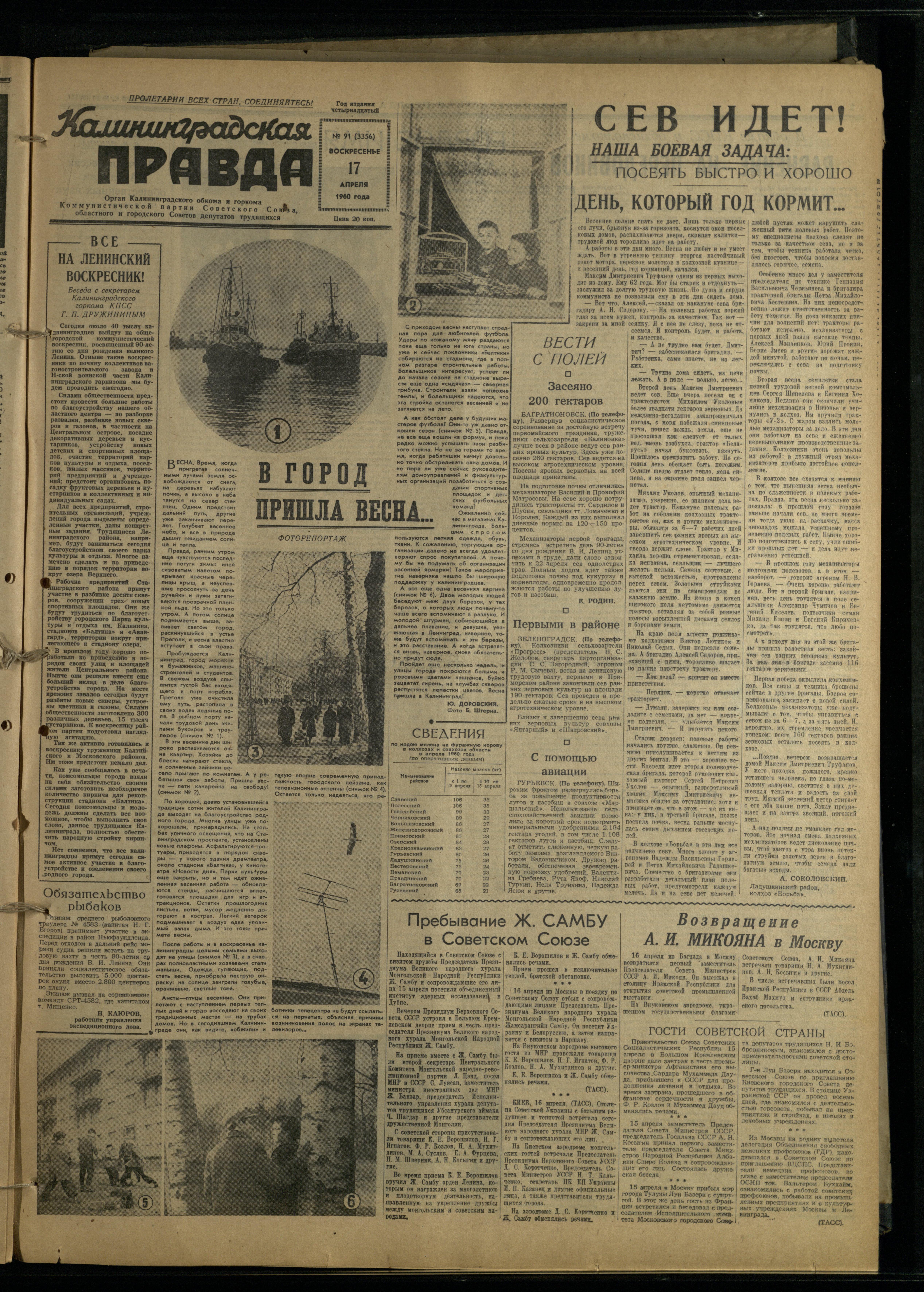 91-4-60-1