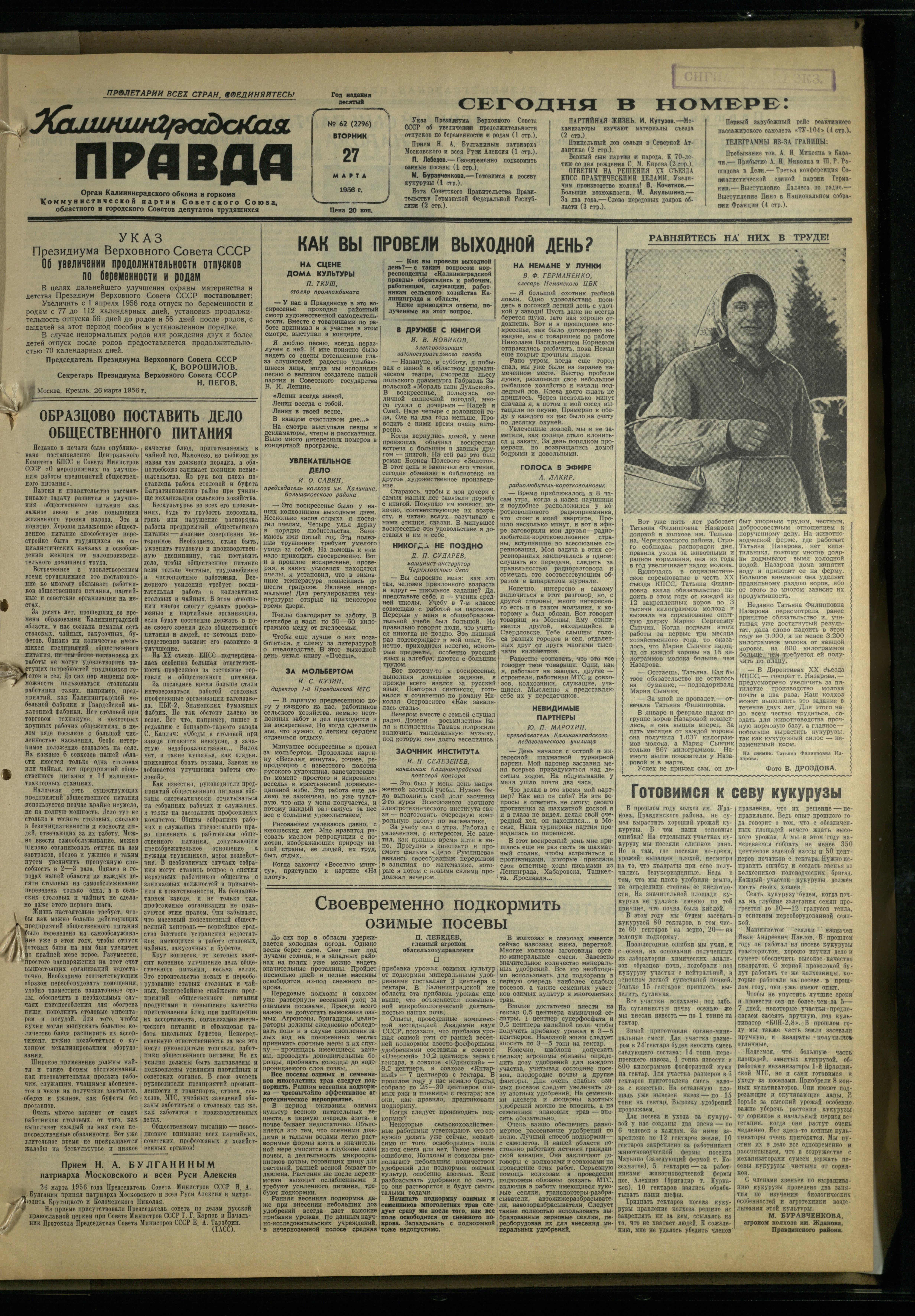 62-3-56-1