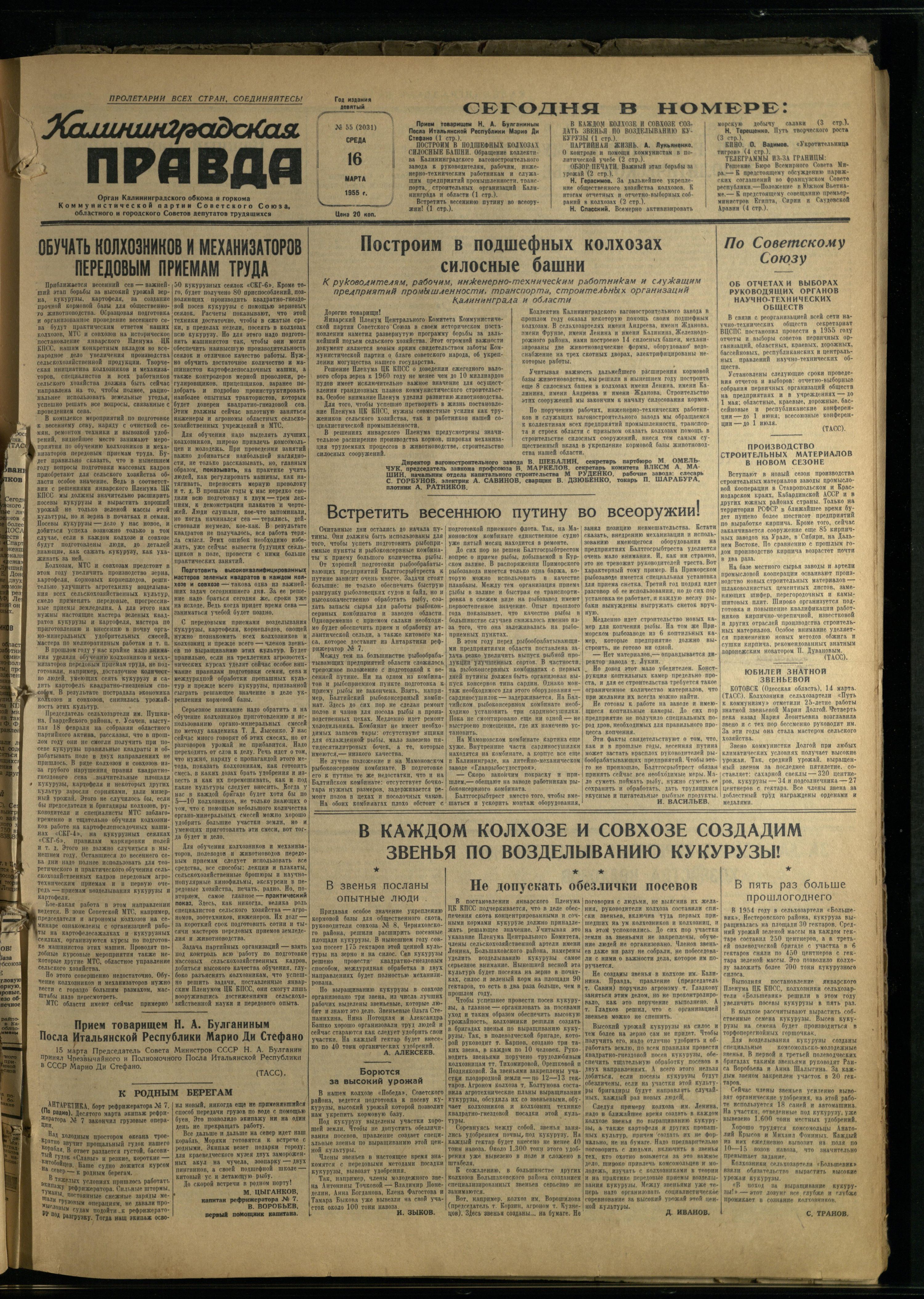 55-3-55-1