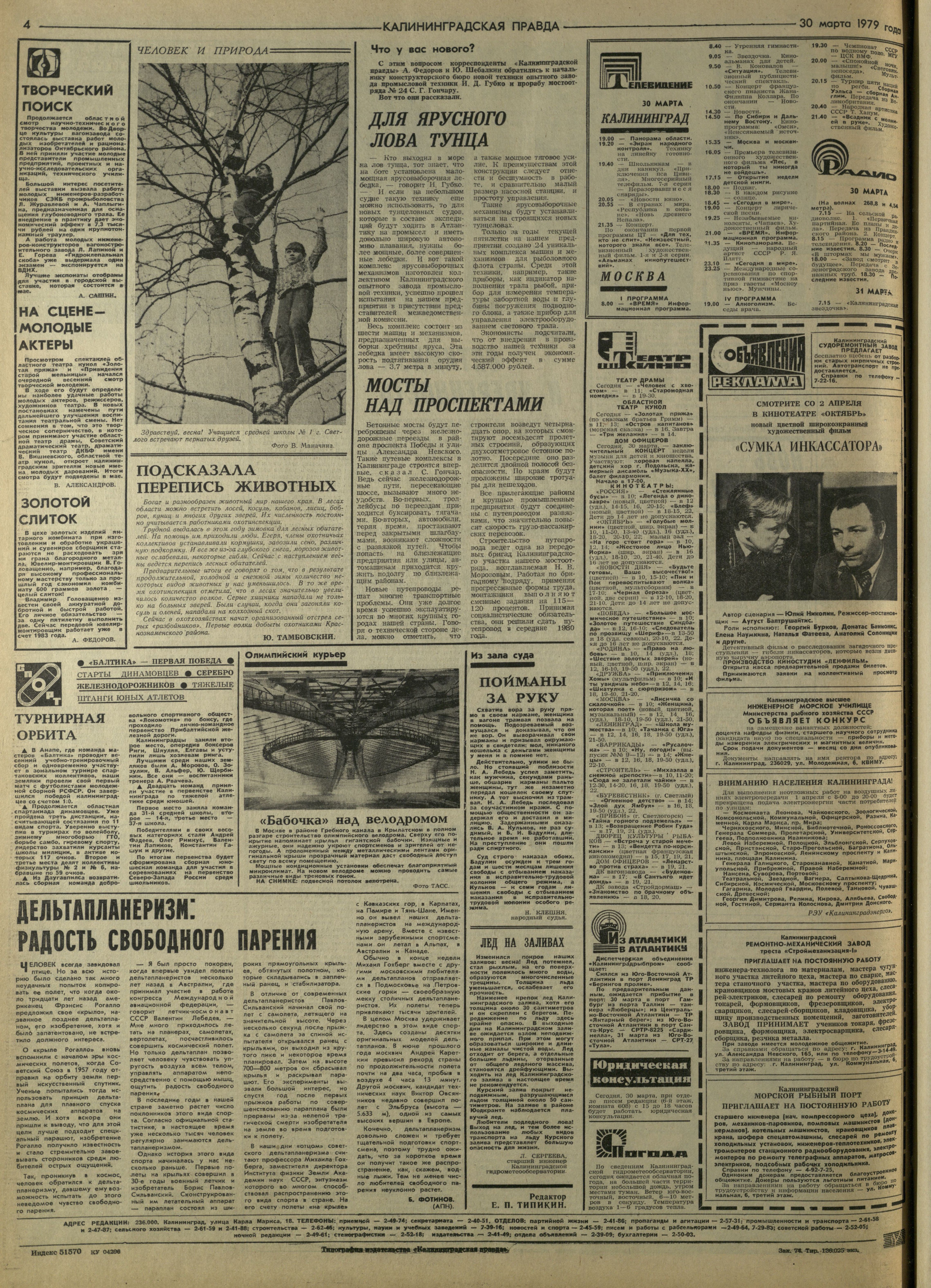 74-3-79-4