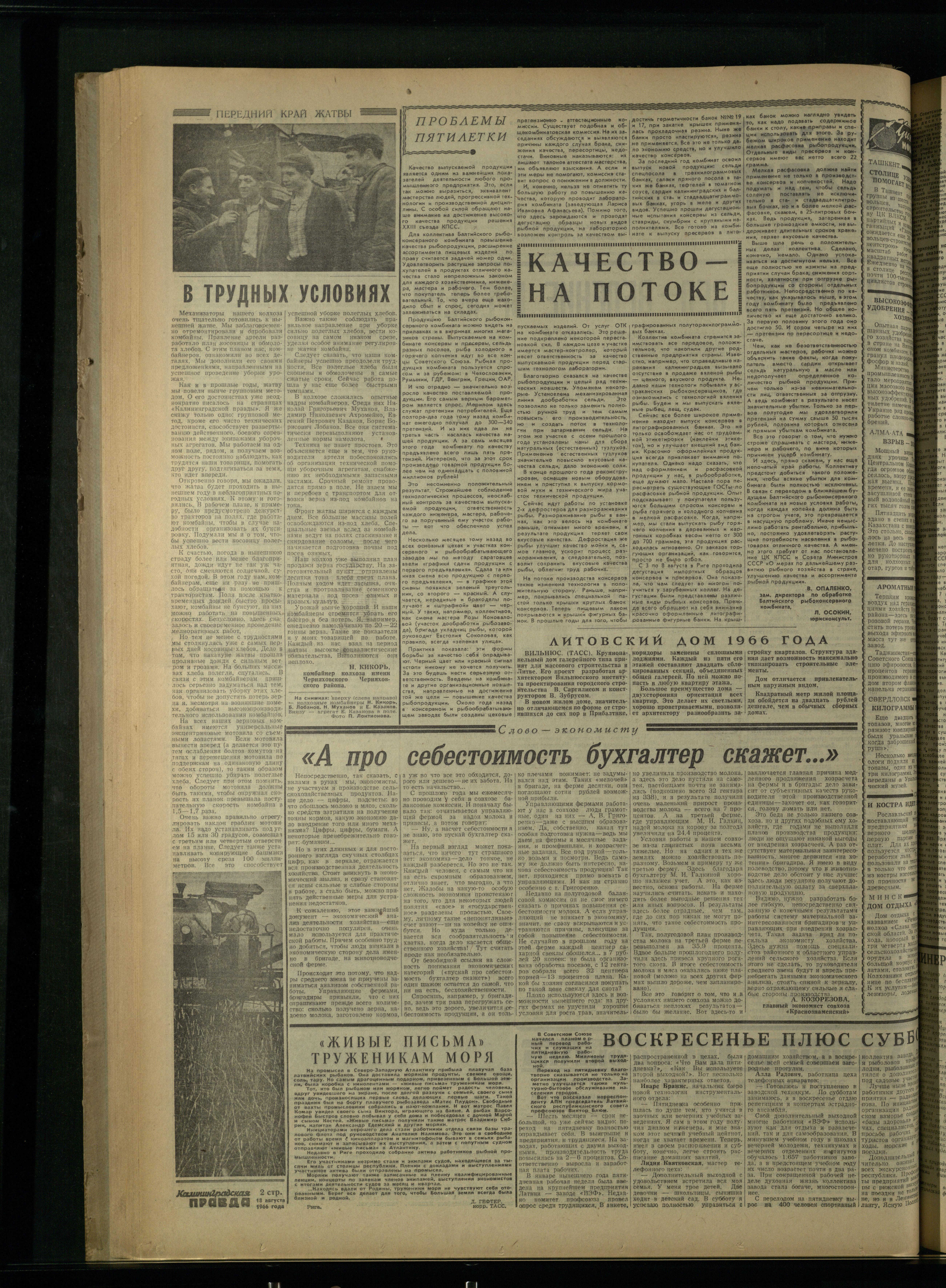 191-8-66-2