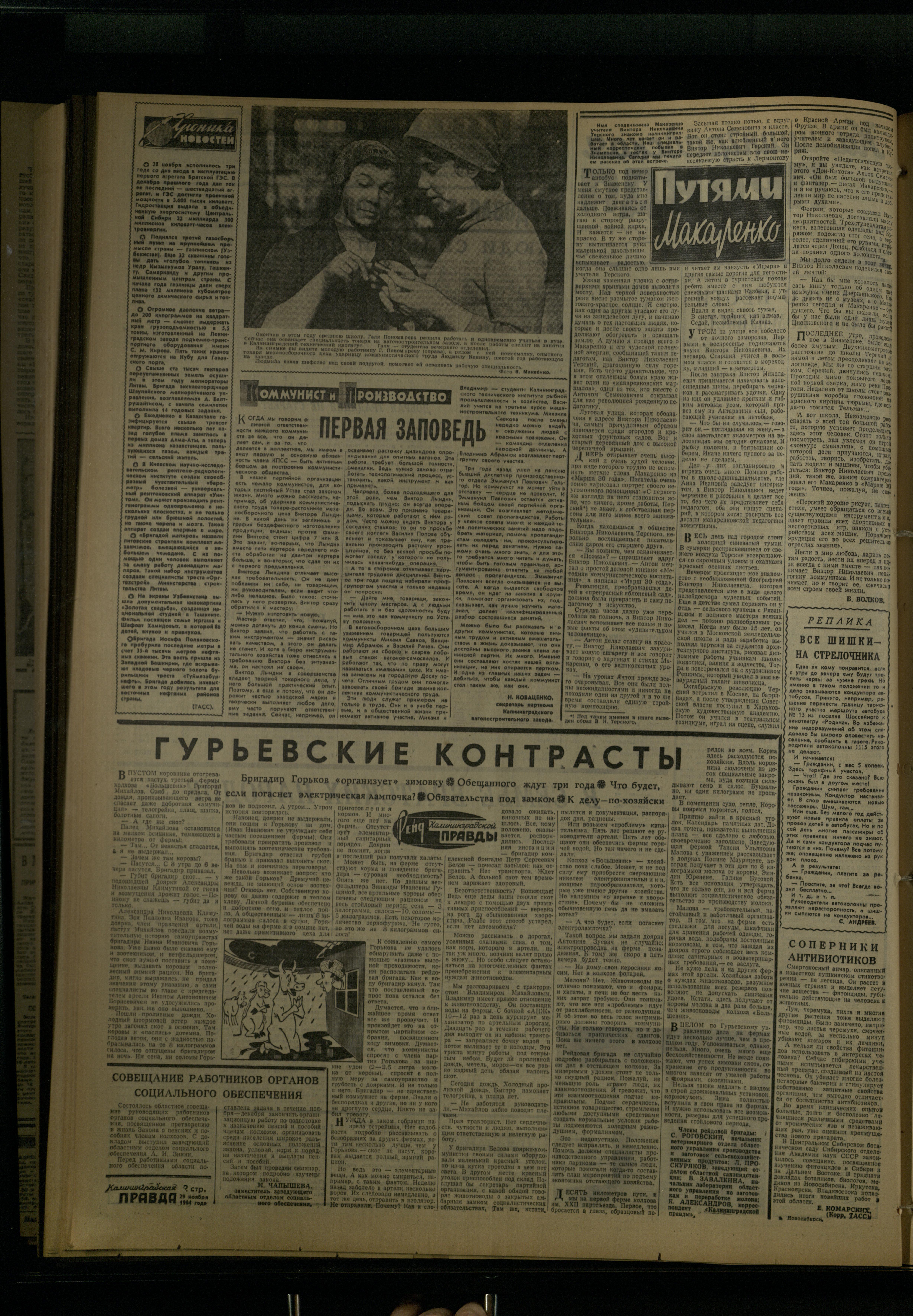 281-11-64-2