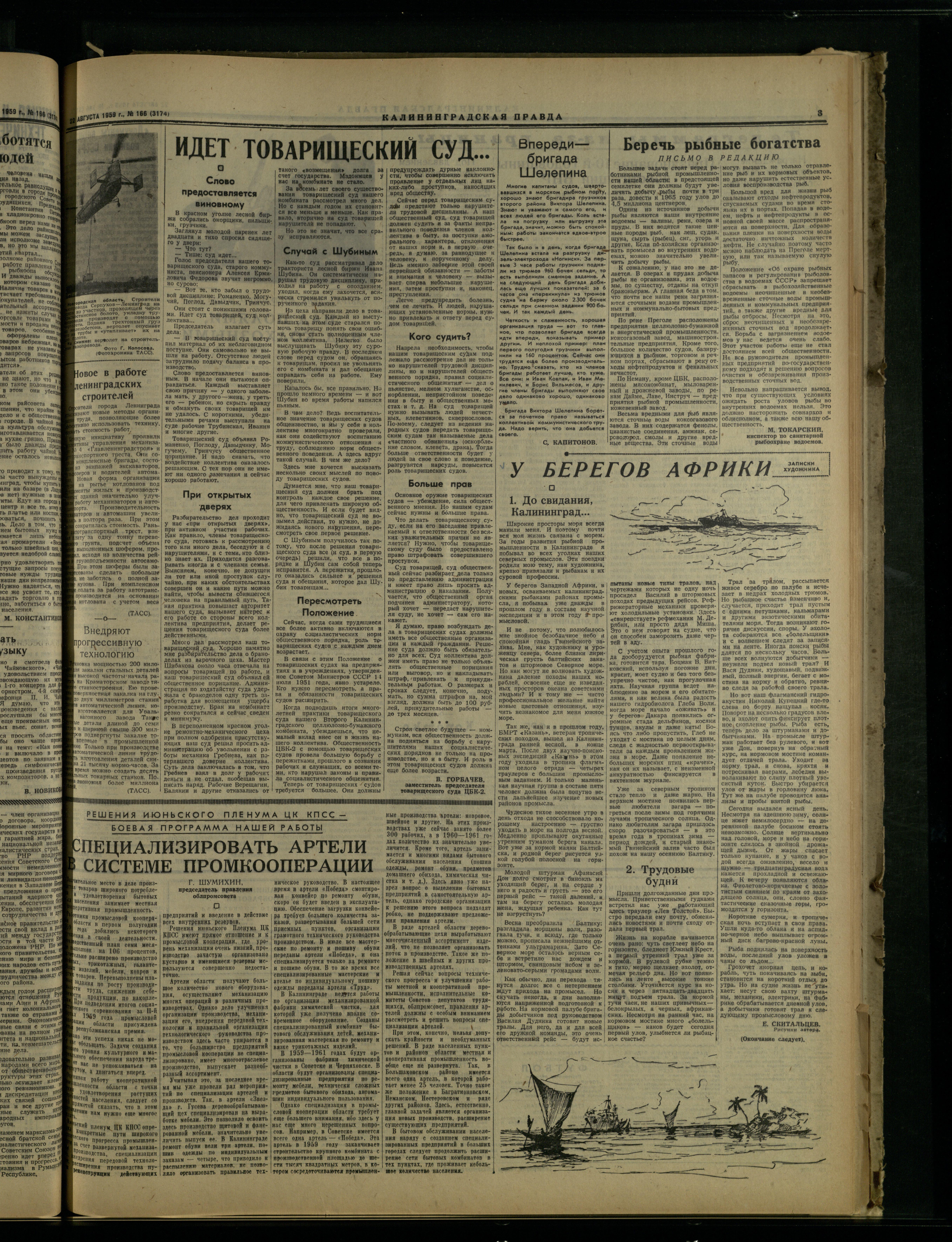 166-8-59-3