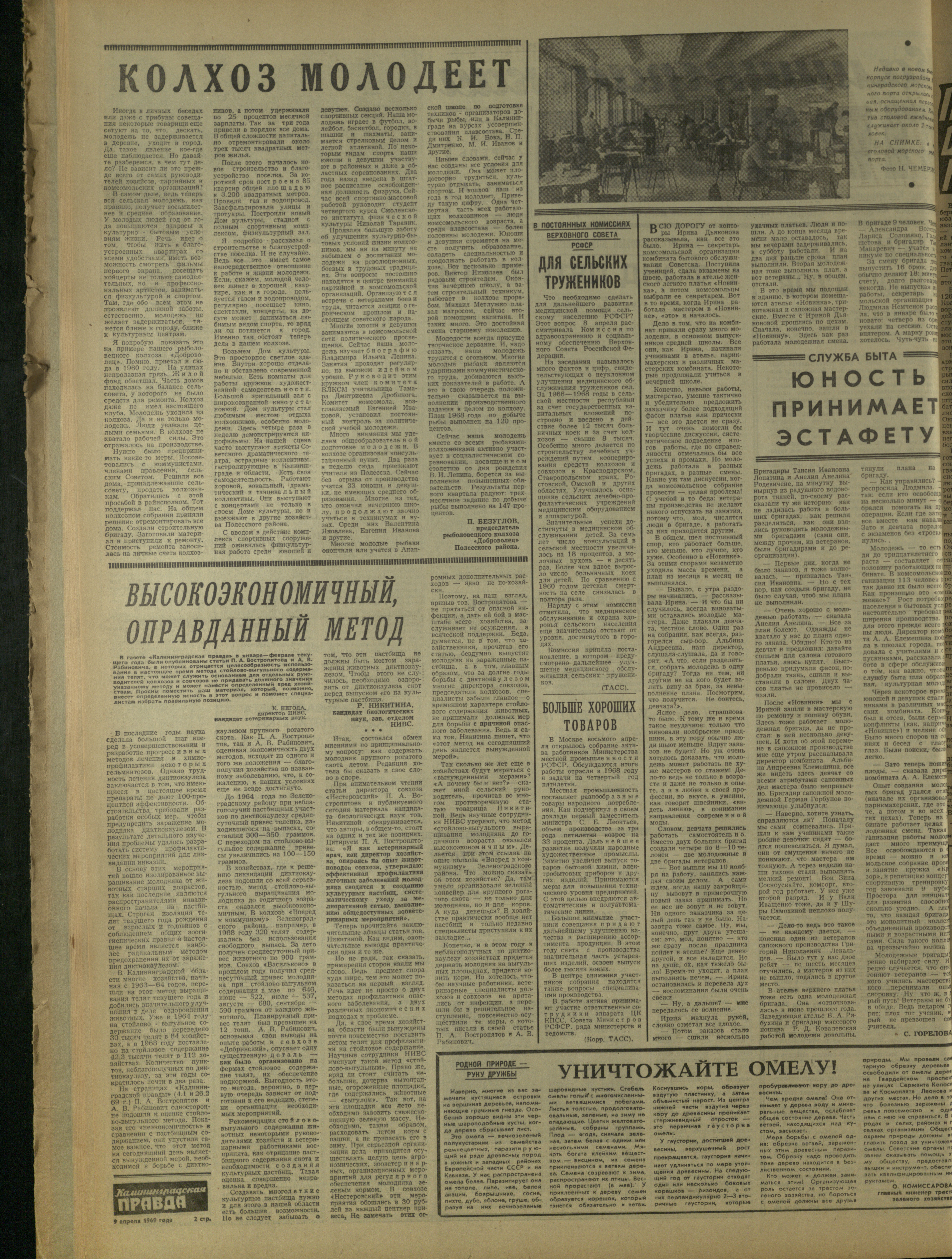 84-4-69-2