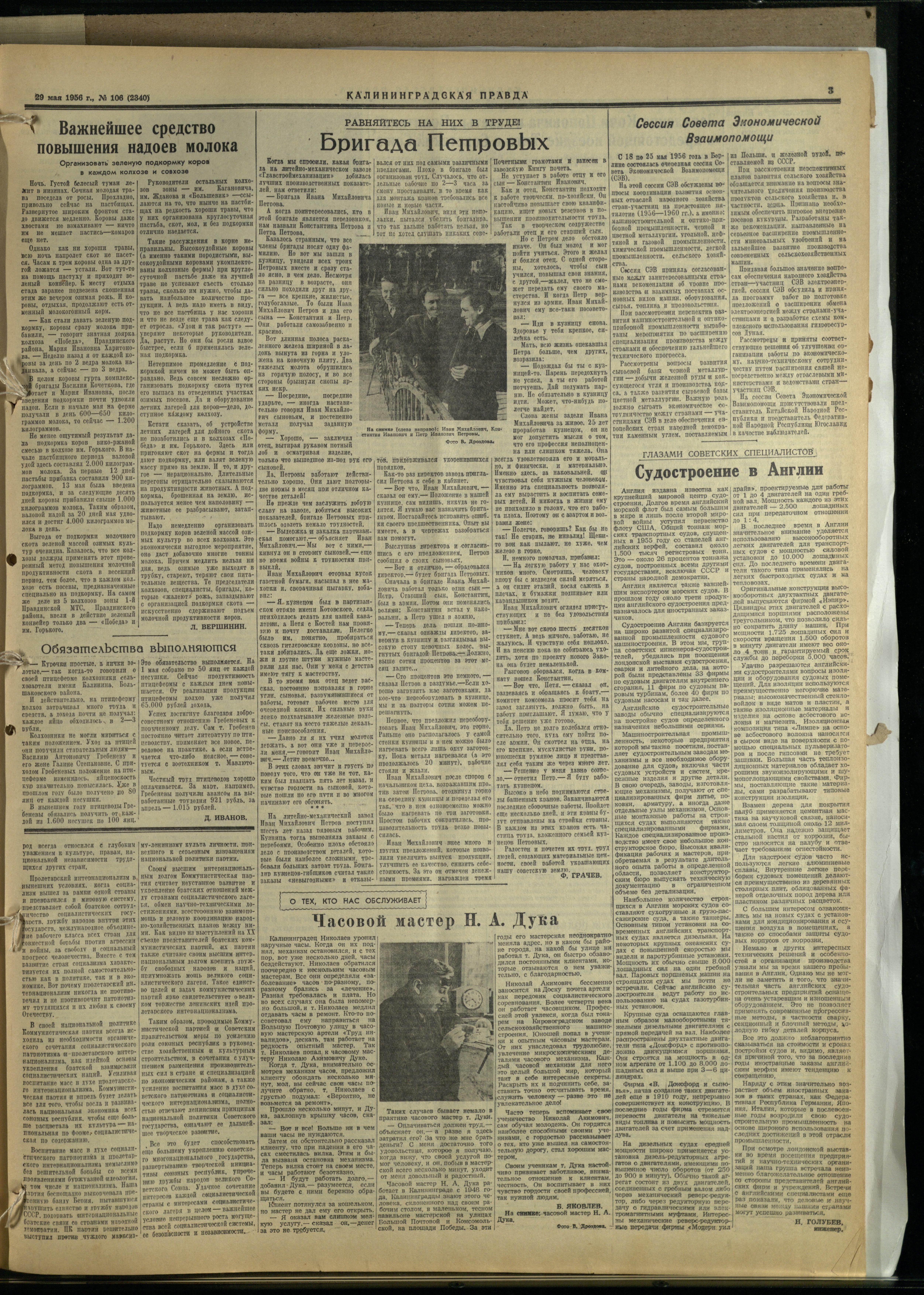 106-5-56-3