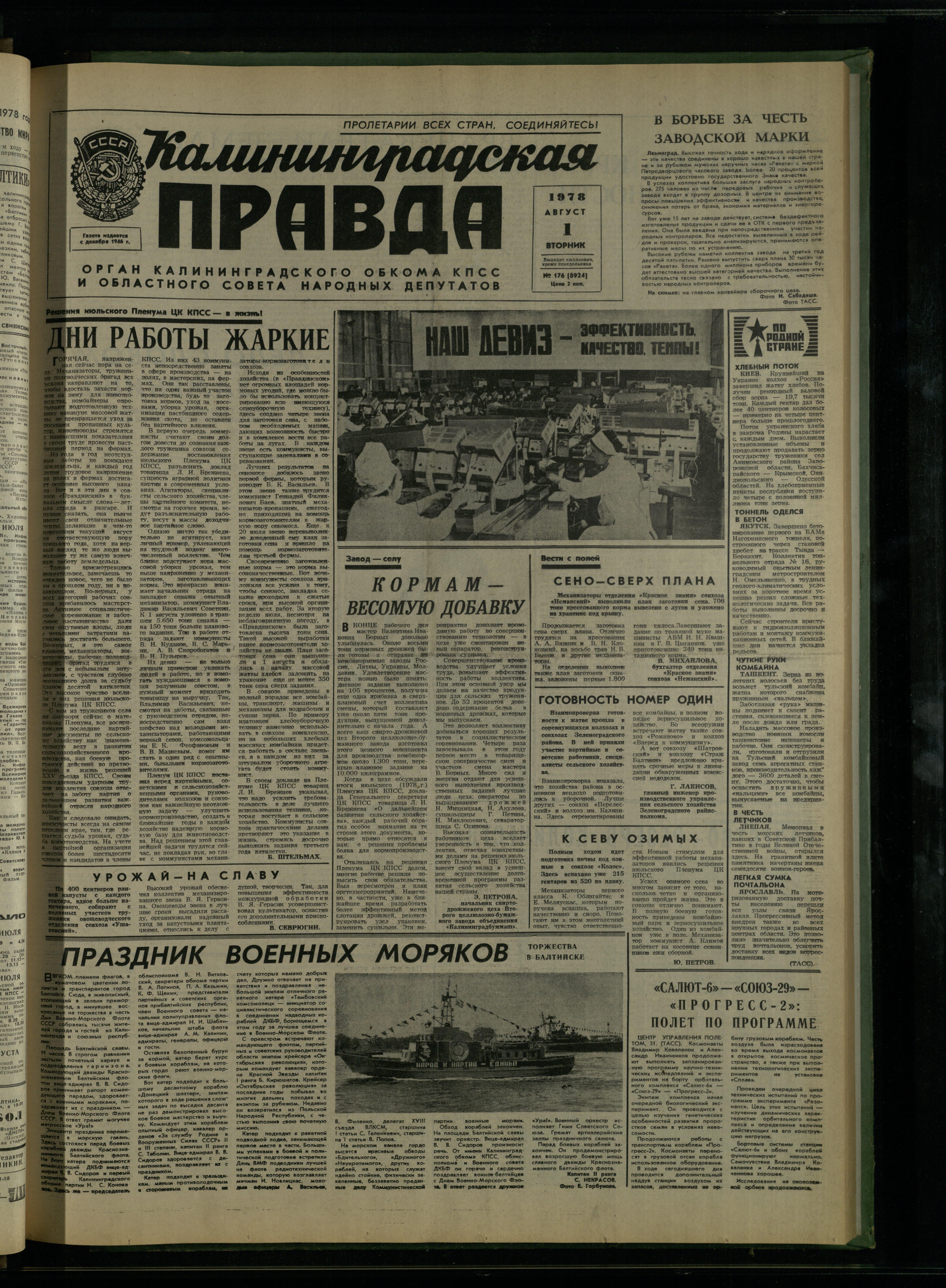 176-8-78-1