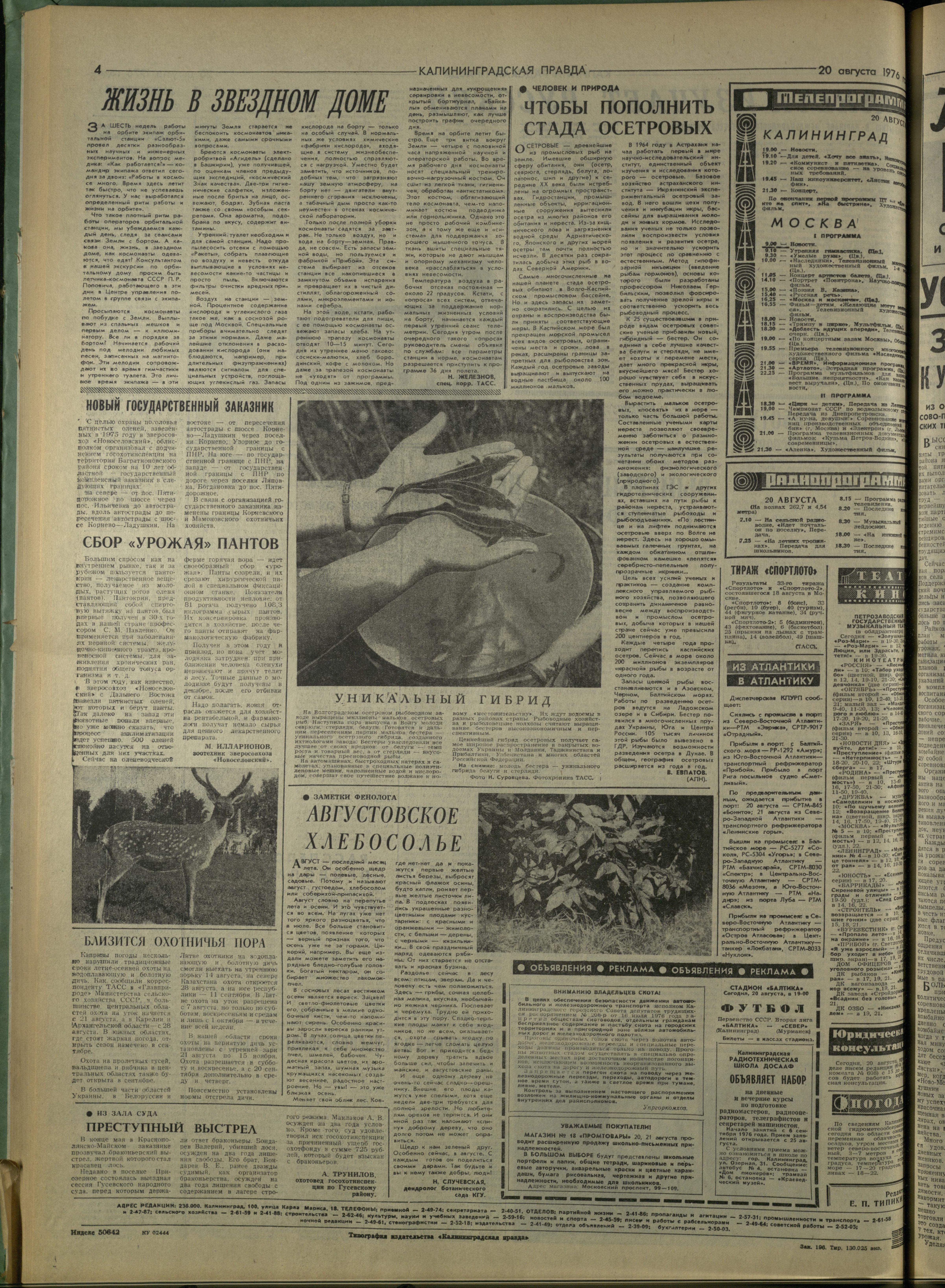 196-8-76-4