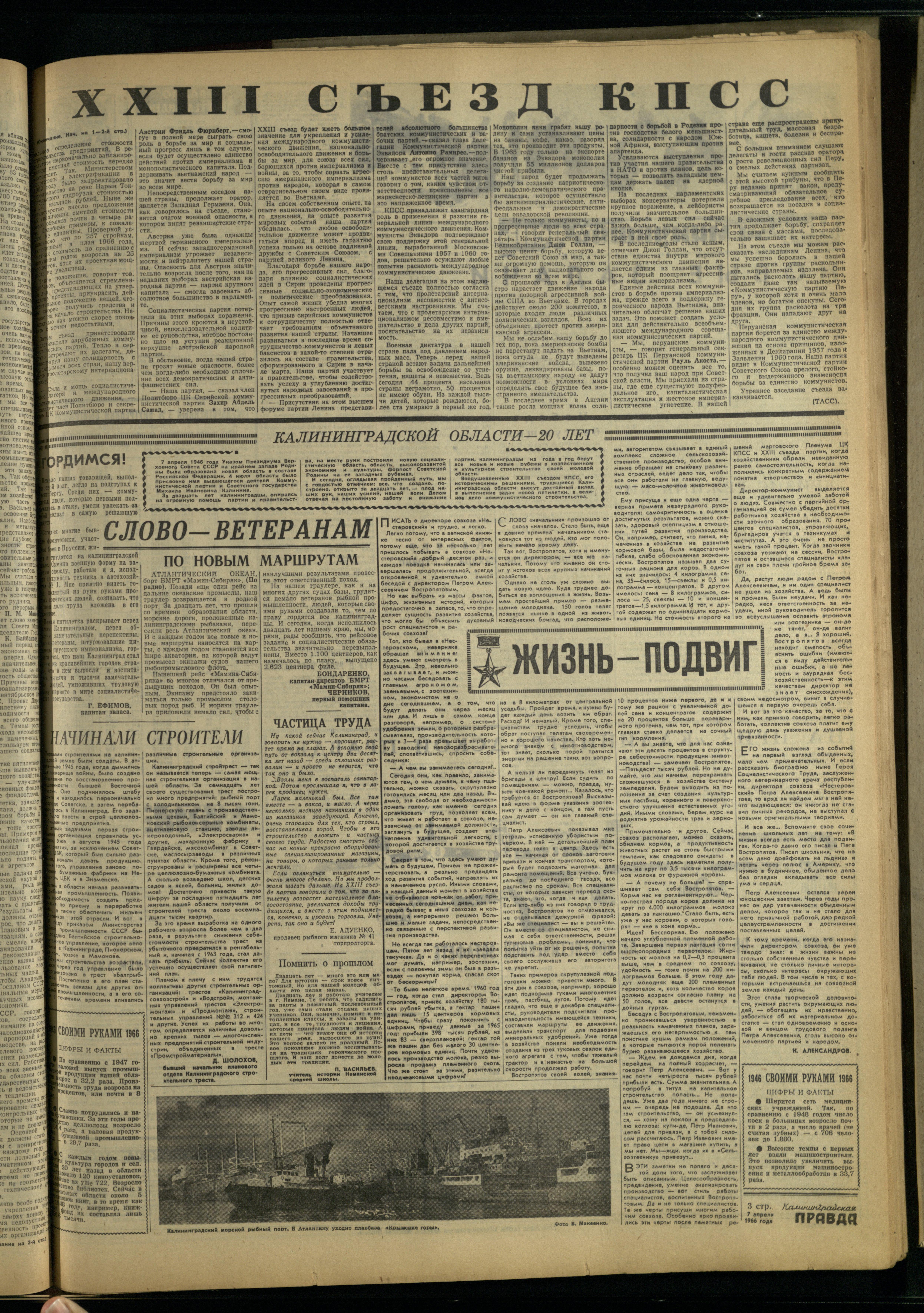 81-4-66-3