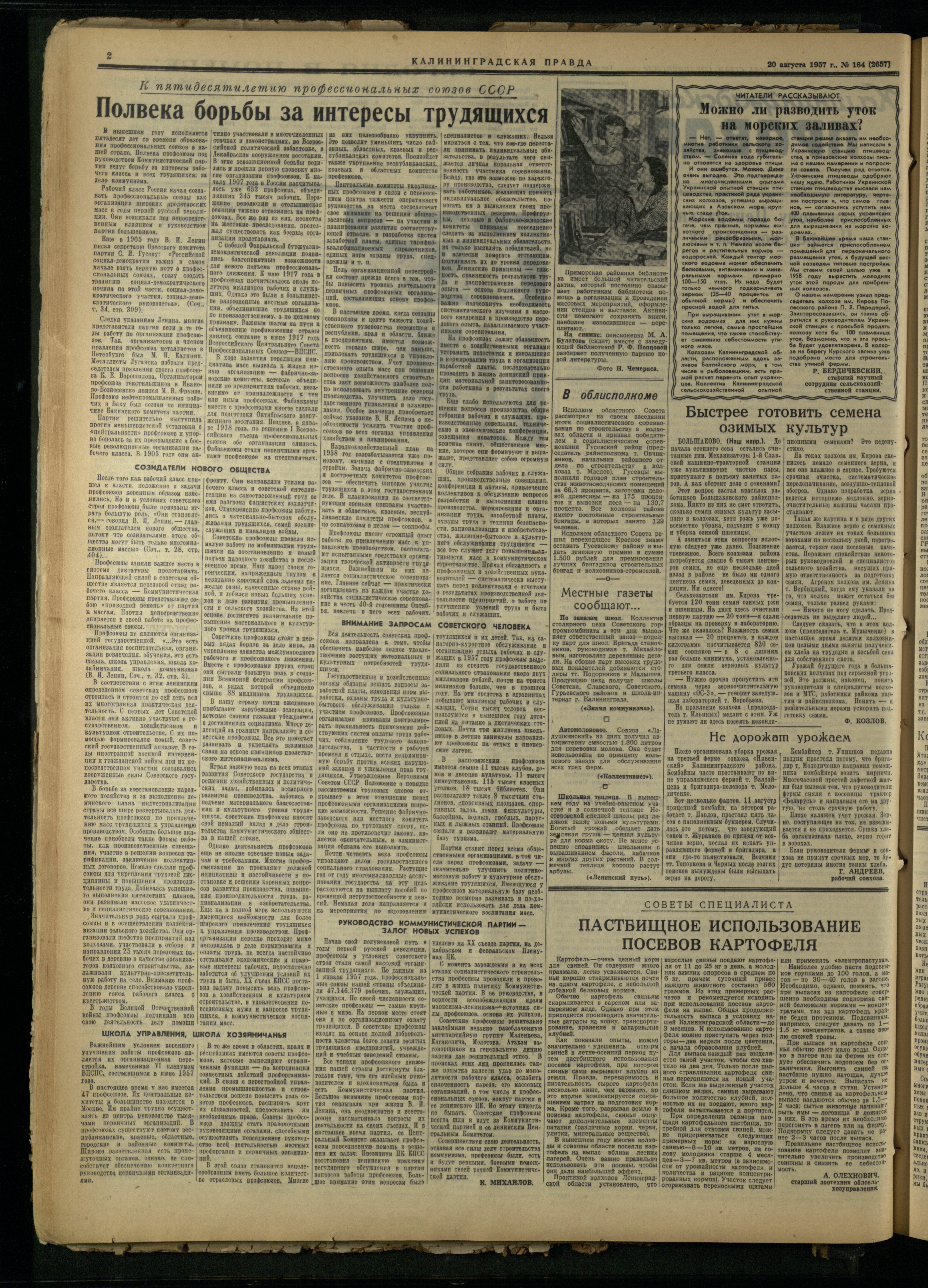 164-8-57-2