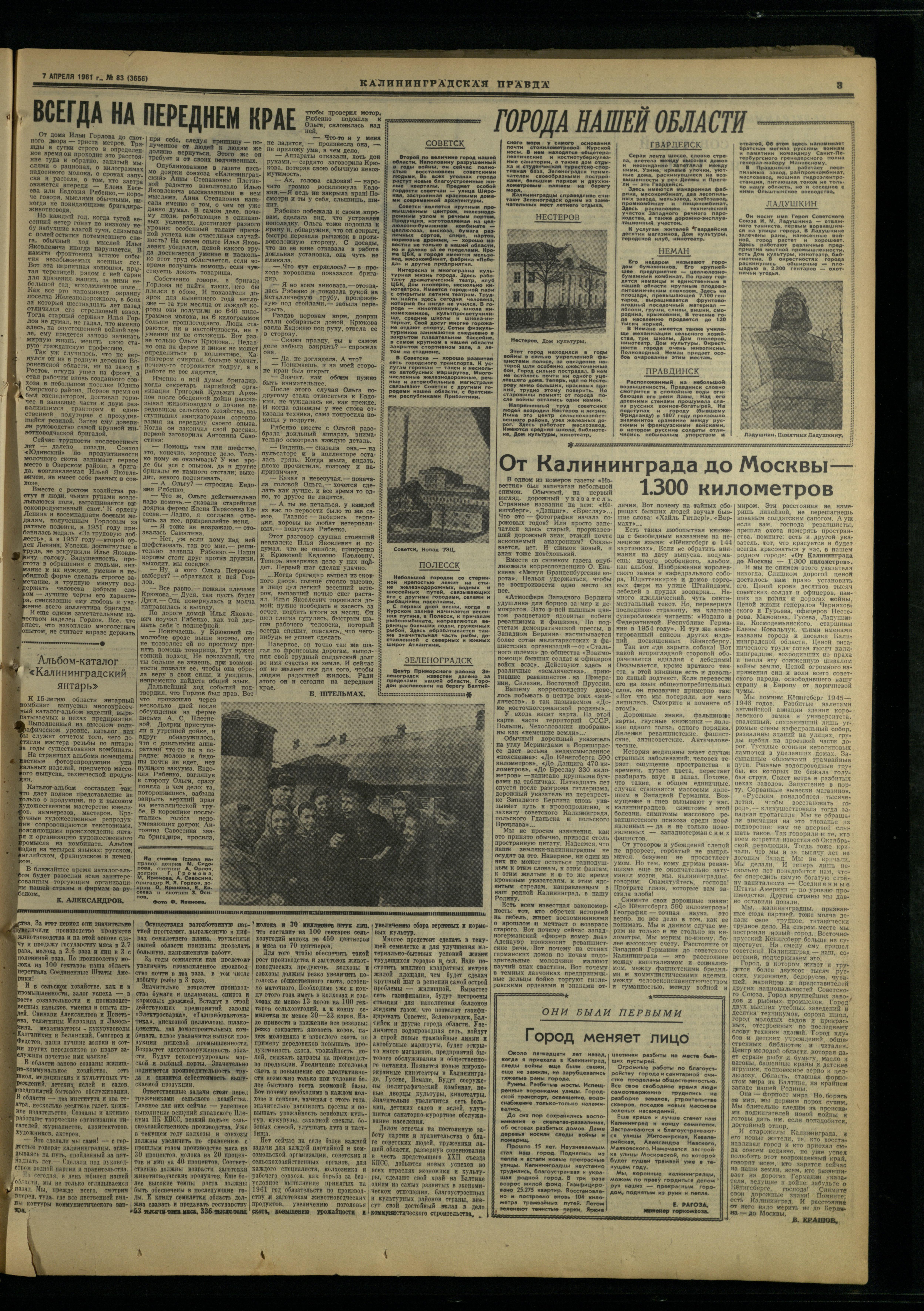 83-4-61-3