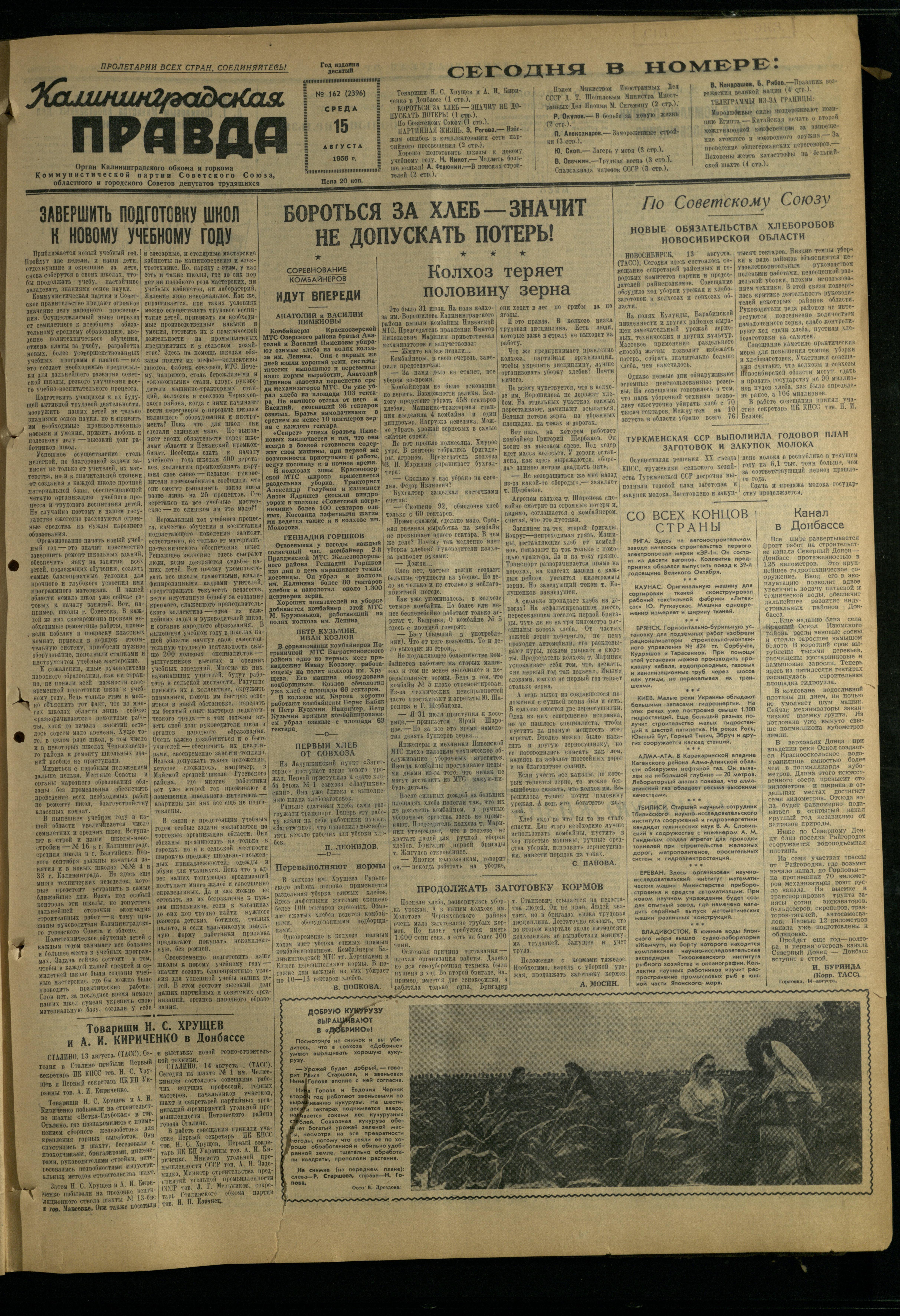 162-8-56-1