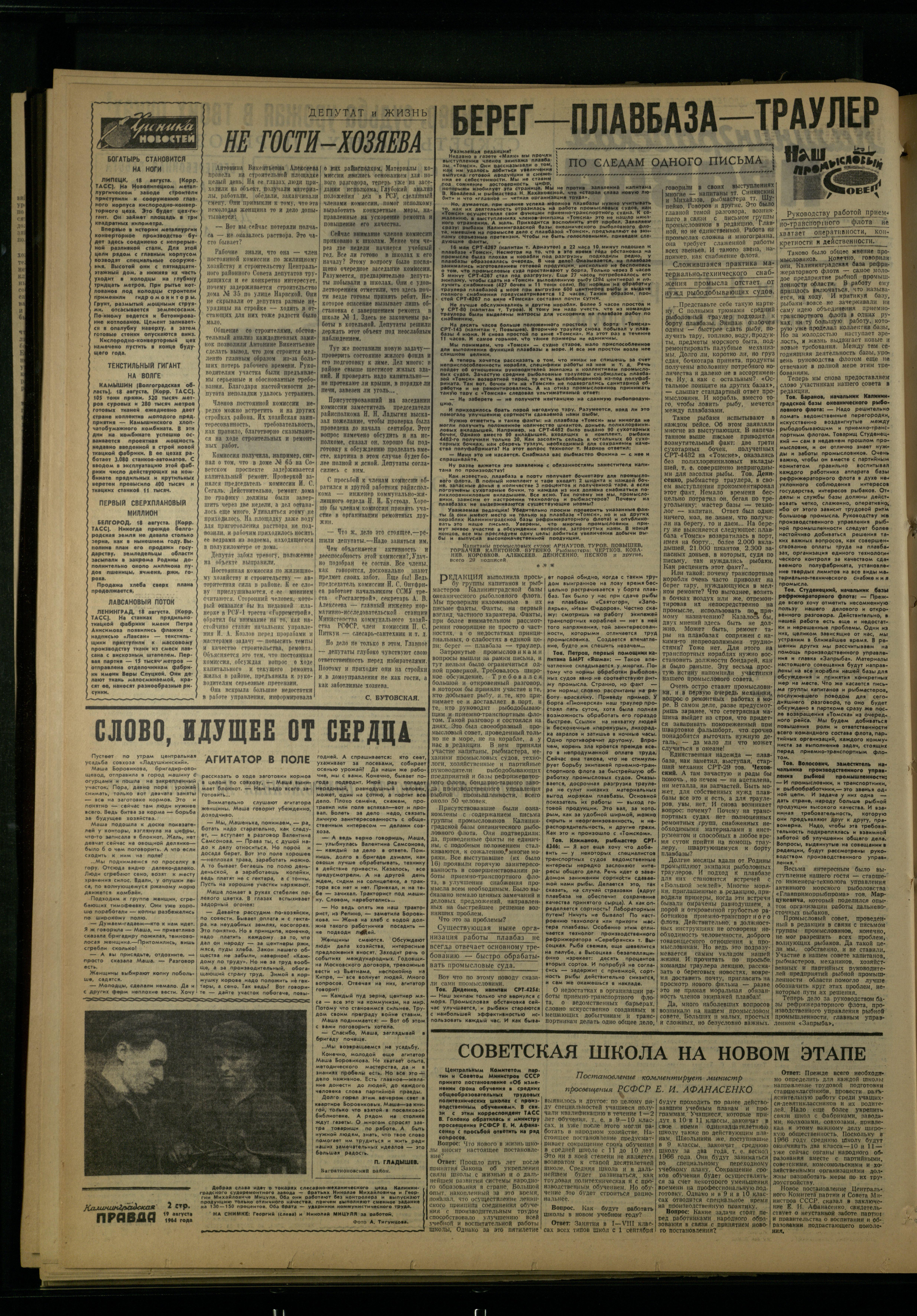 194-8-64-2