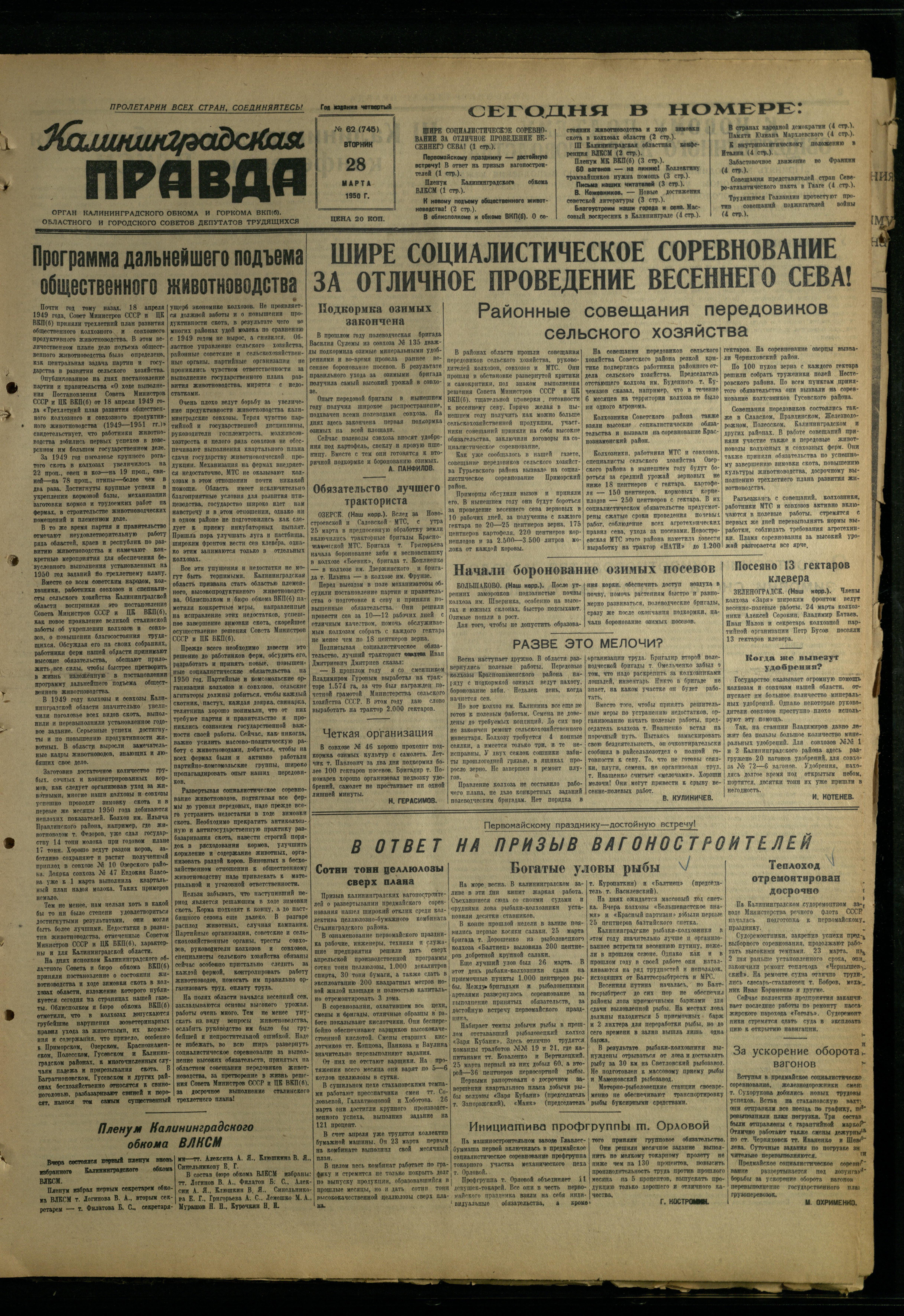 62-3-50-1