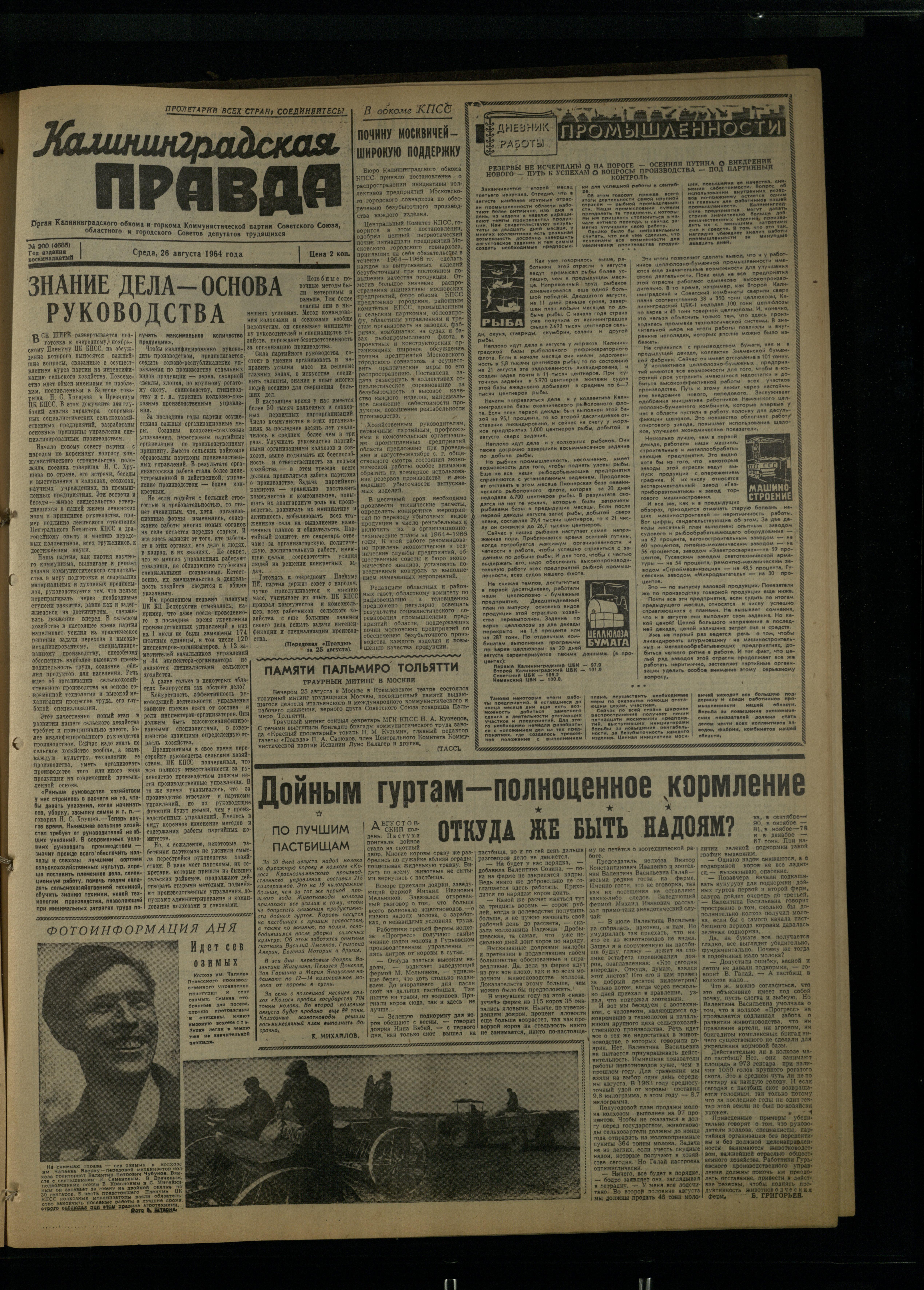 200-8-64-1