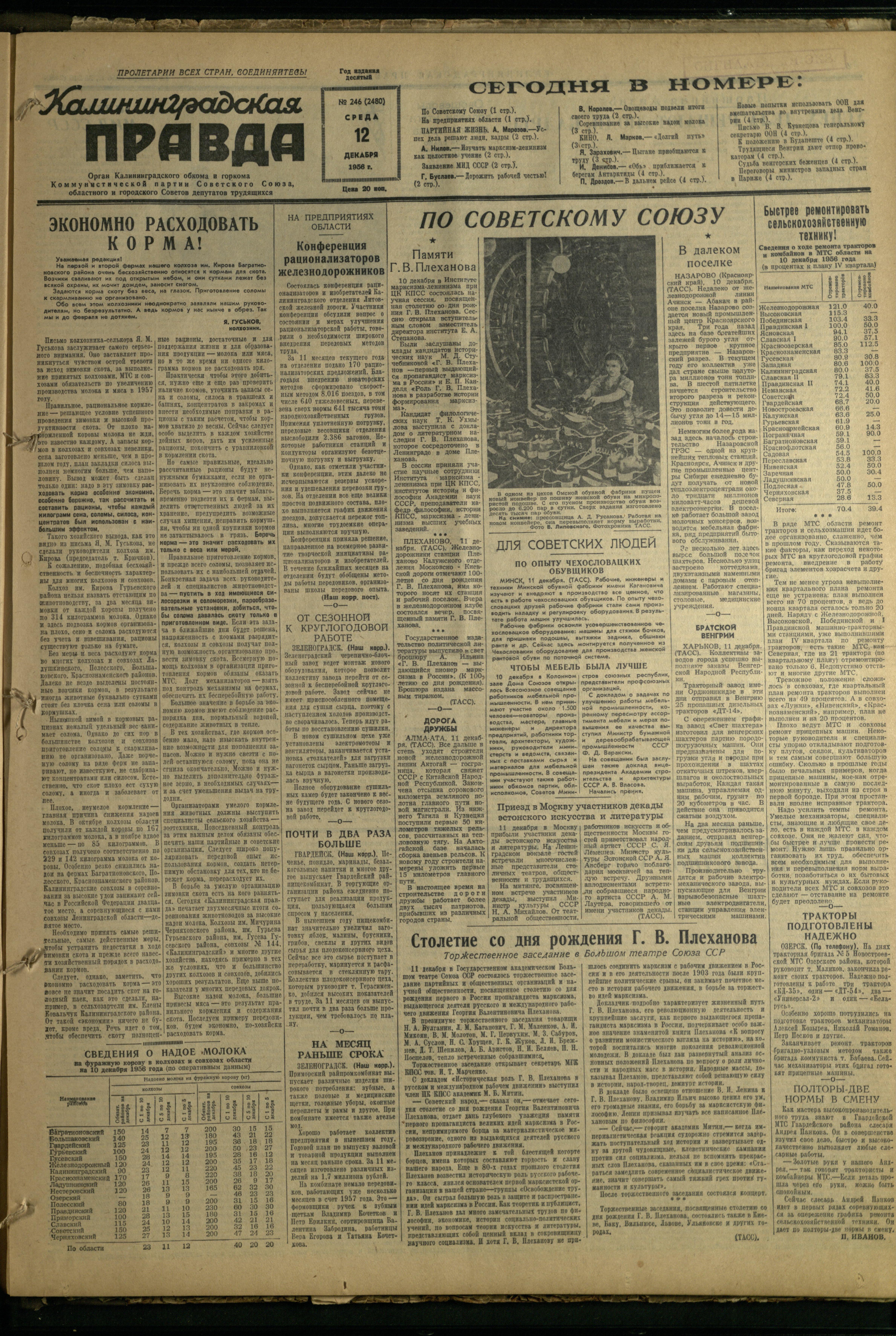 246-12-56-1