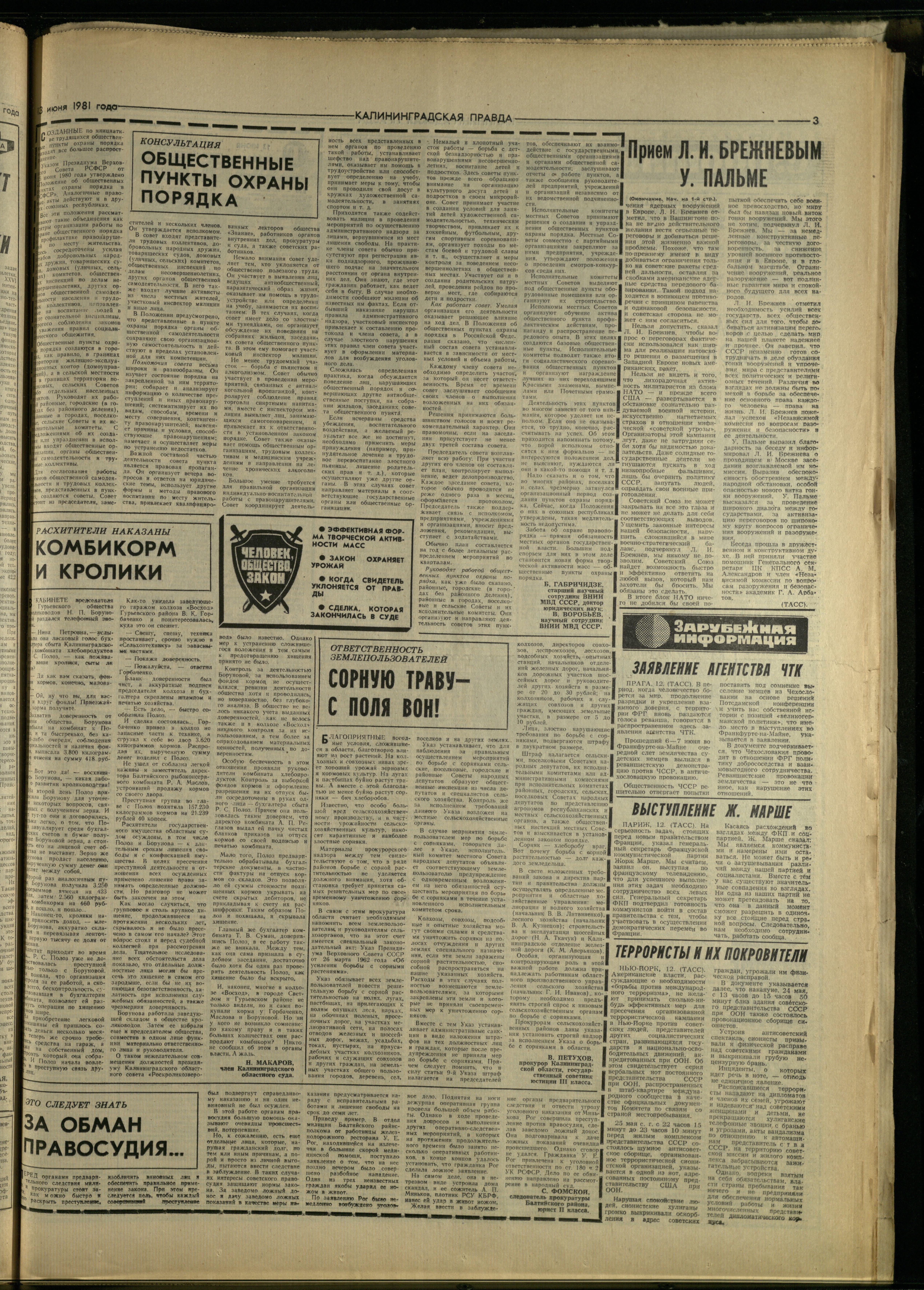 136-6-81-3