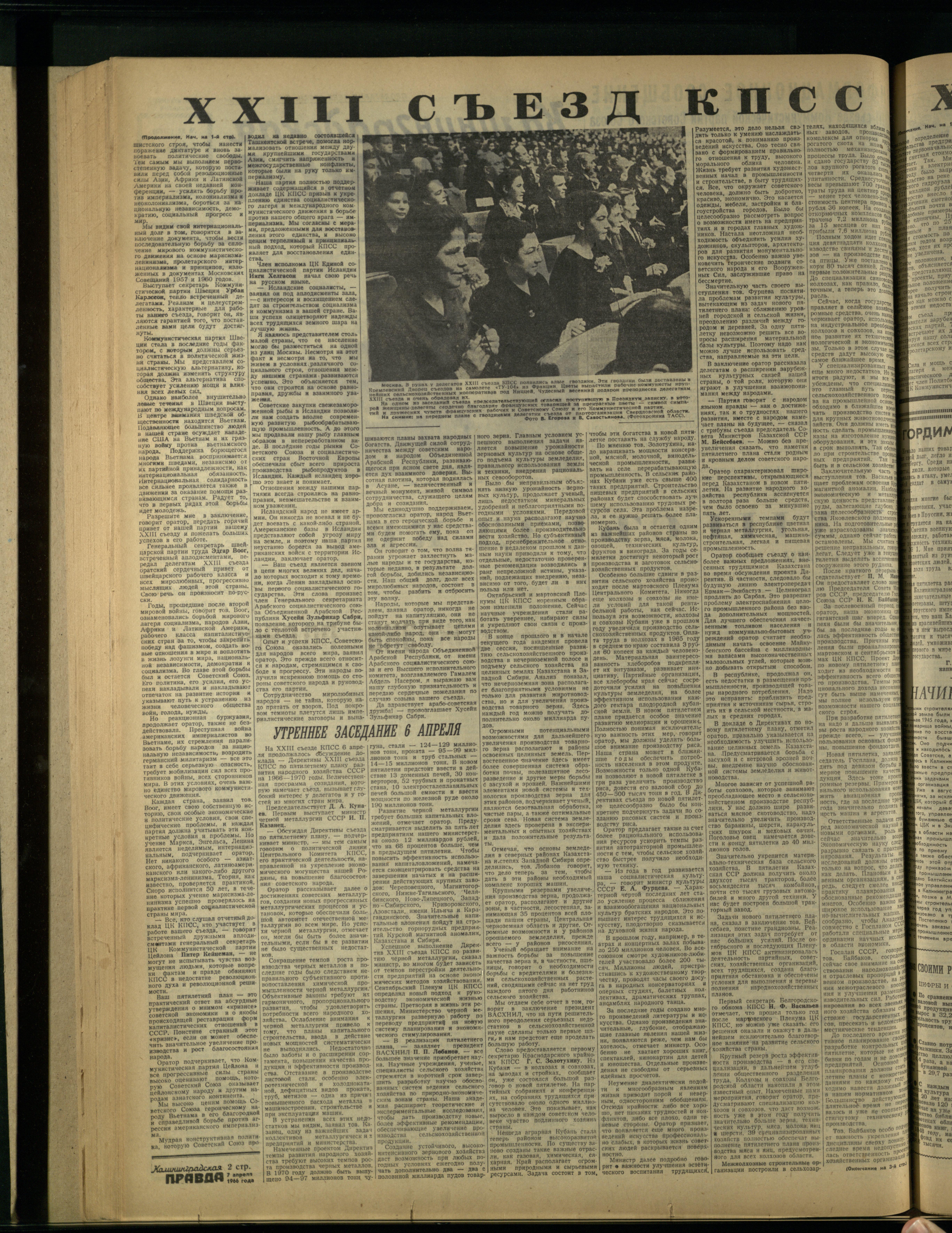81-4-66-2