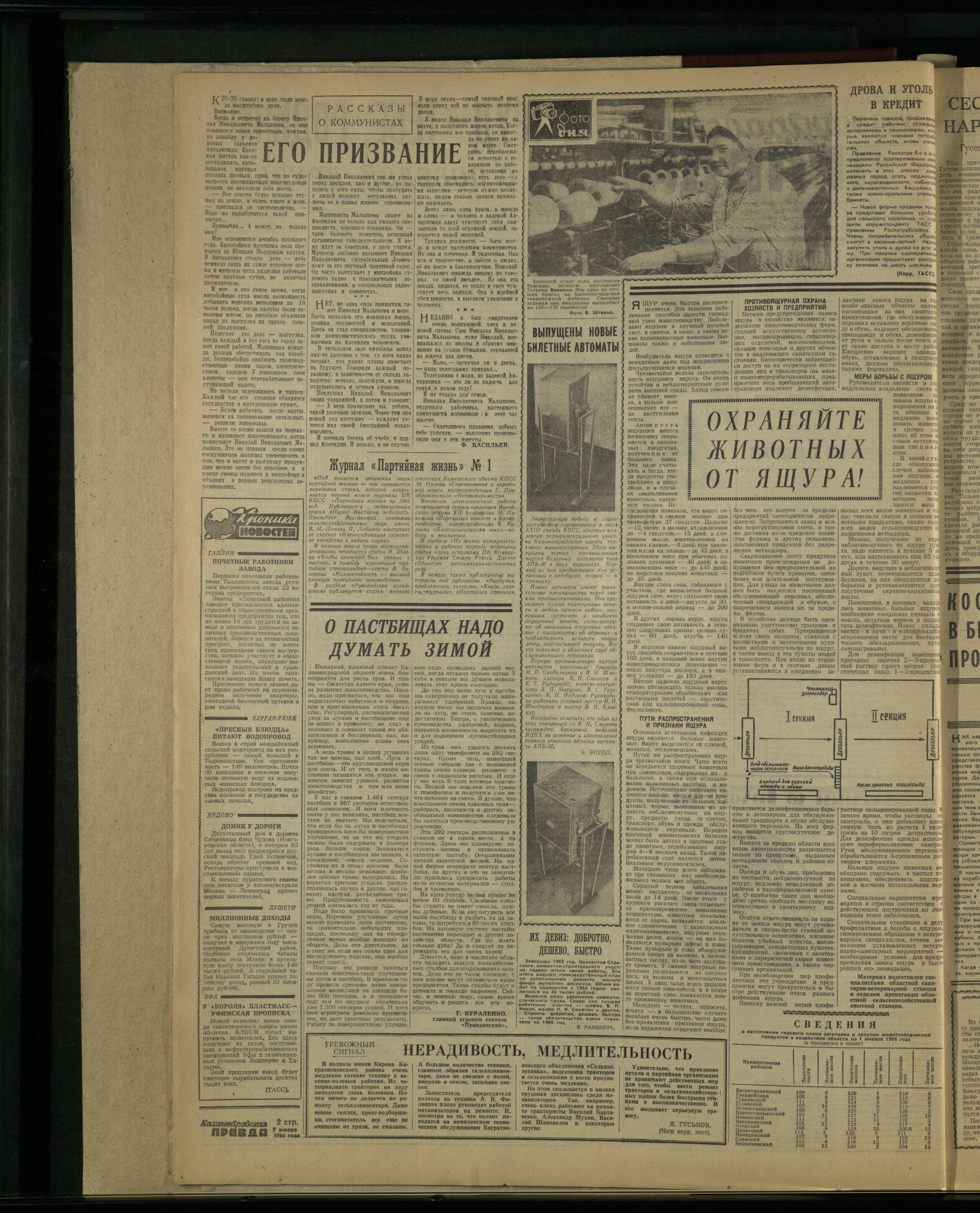 5-1-66-2