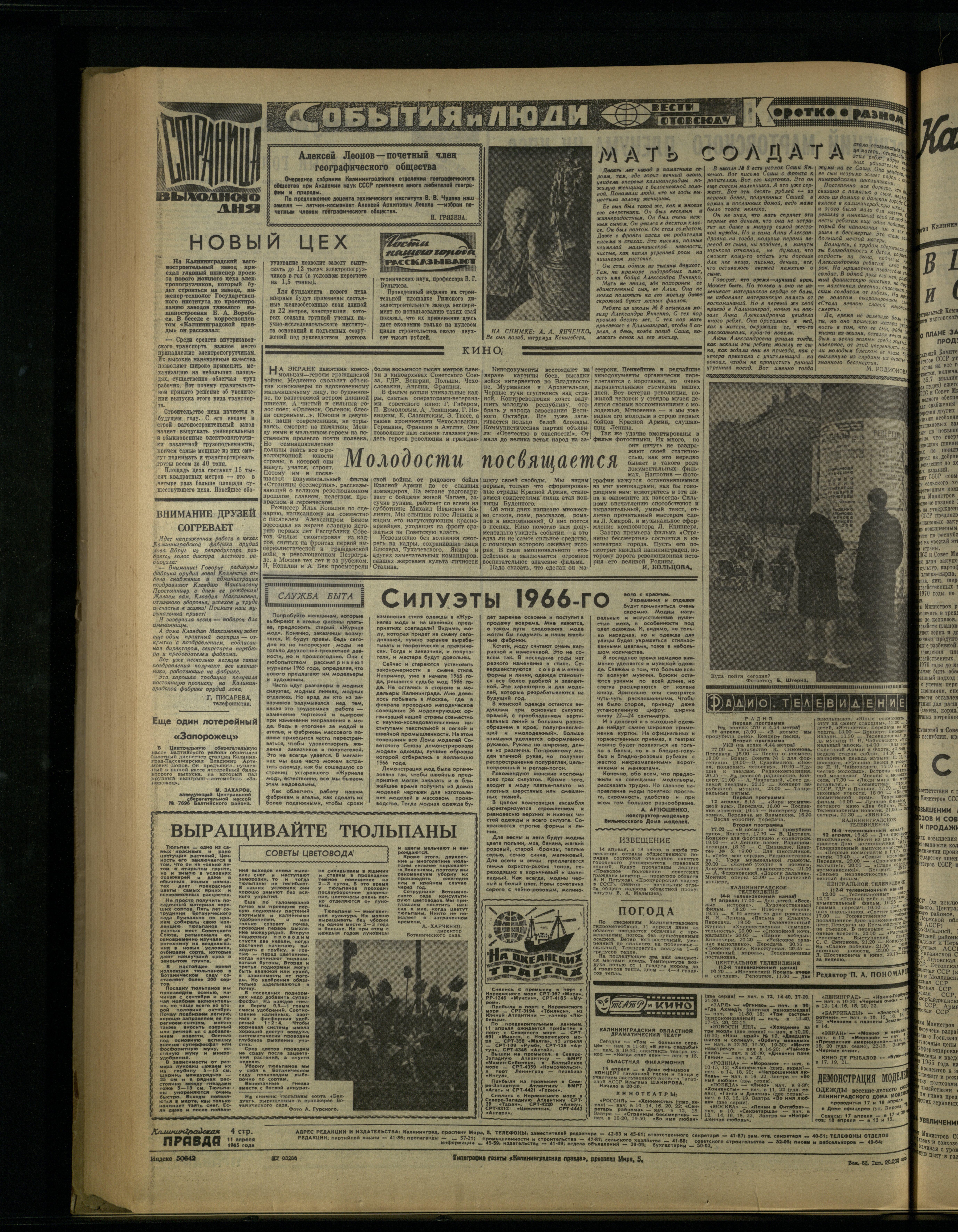 85-4-65-4
