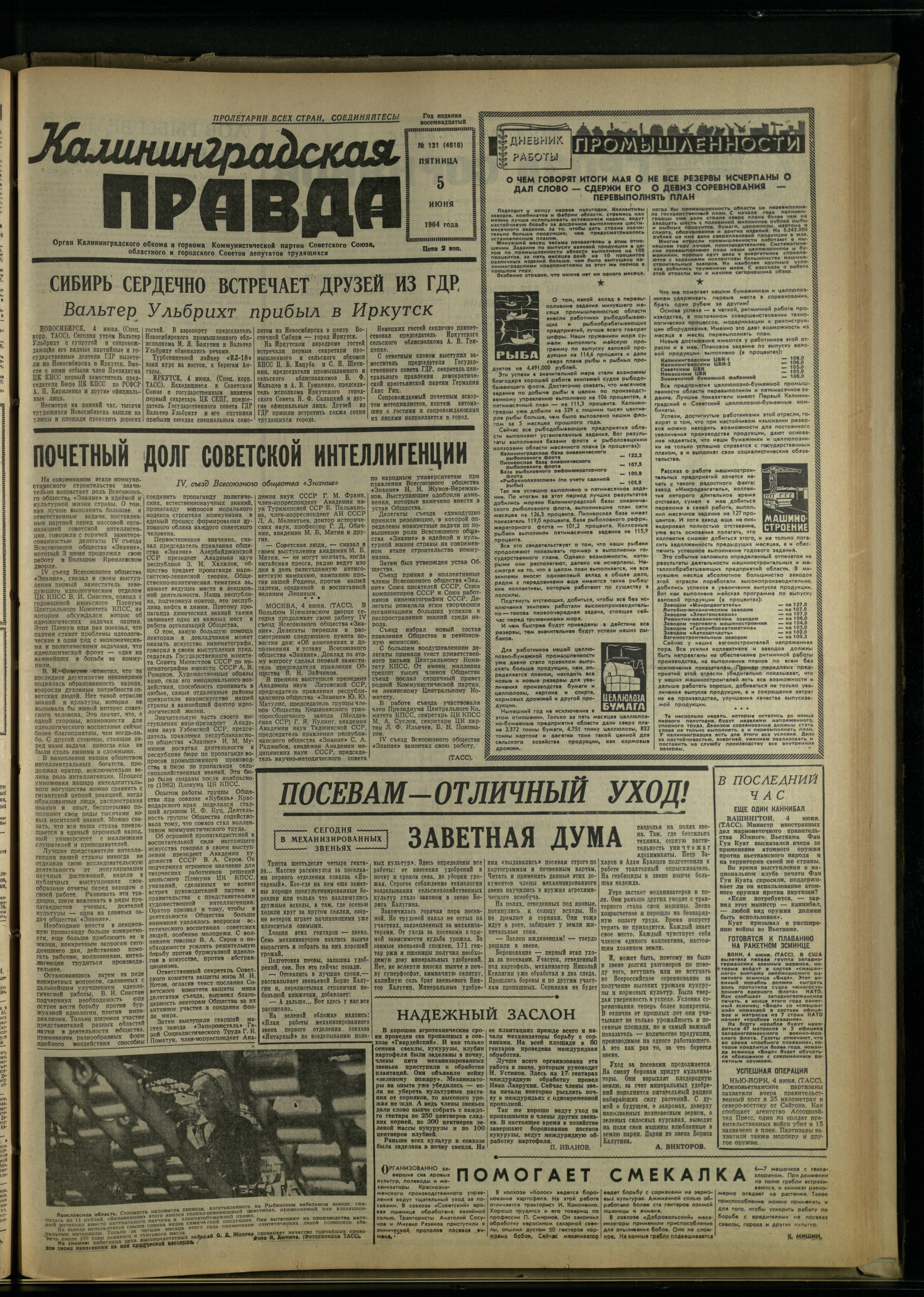 131-6-64-1