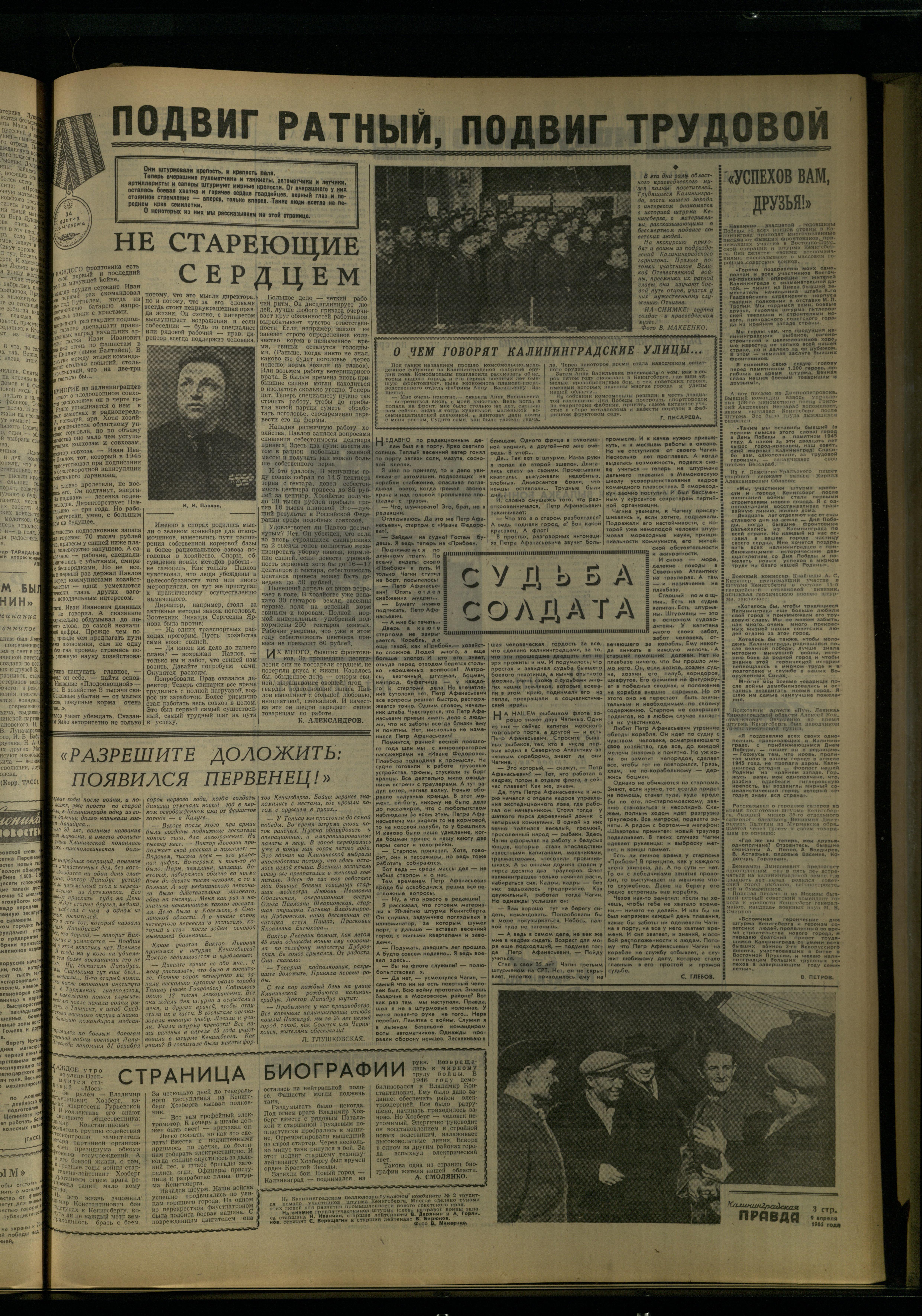 83-4-65-3