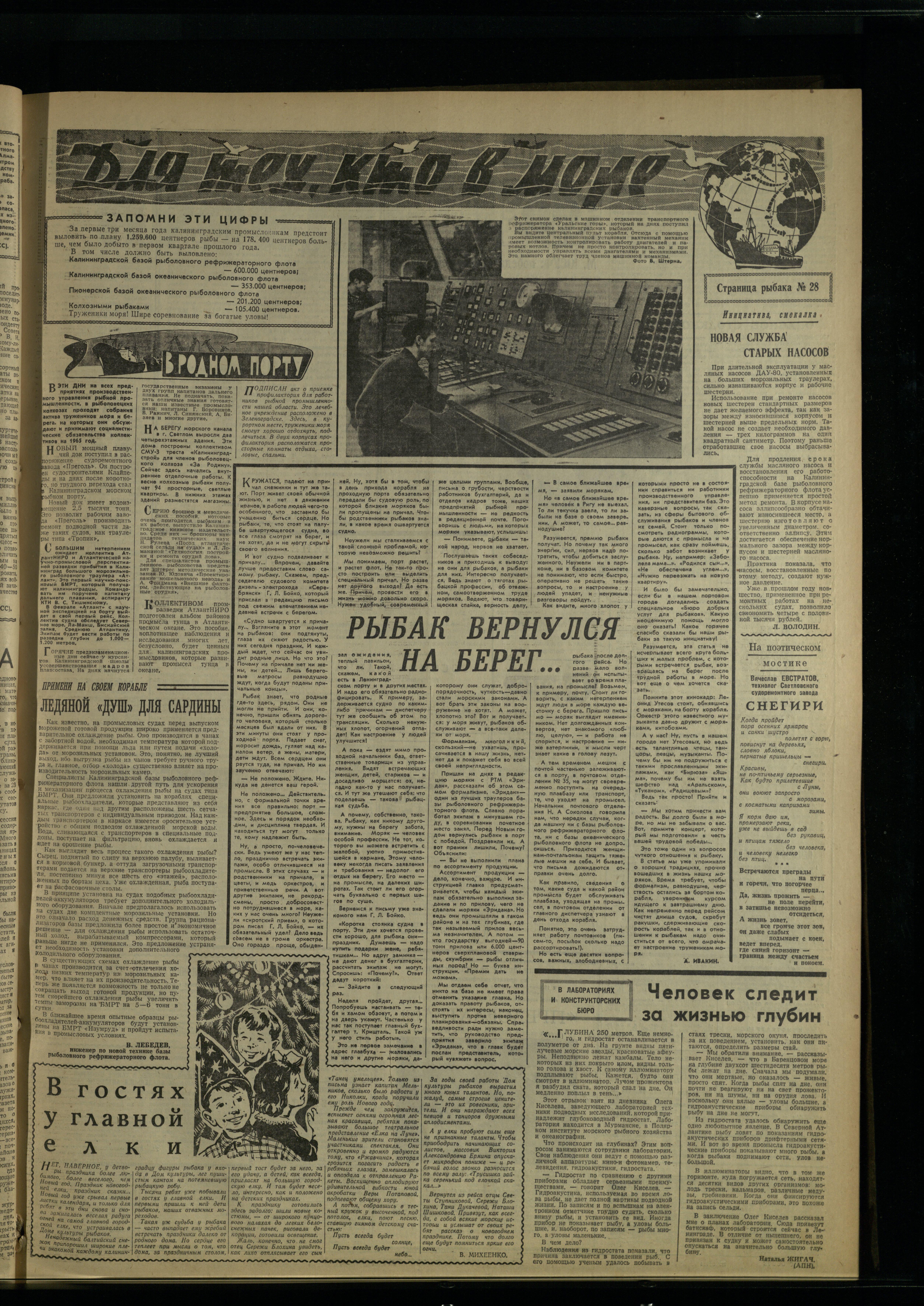 8-1-65-3