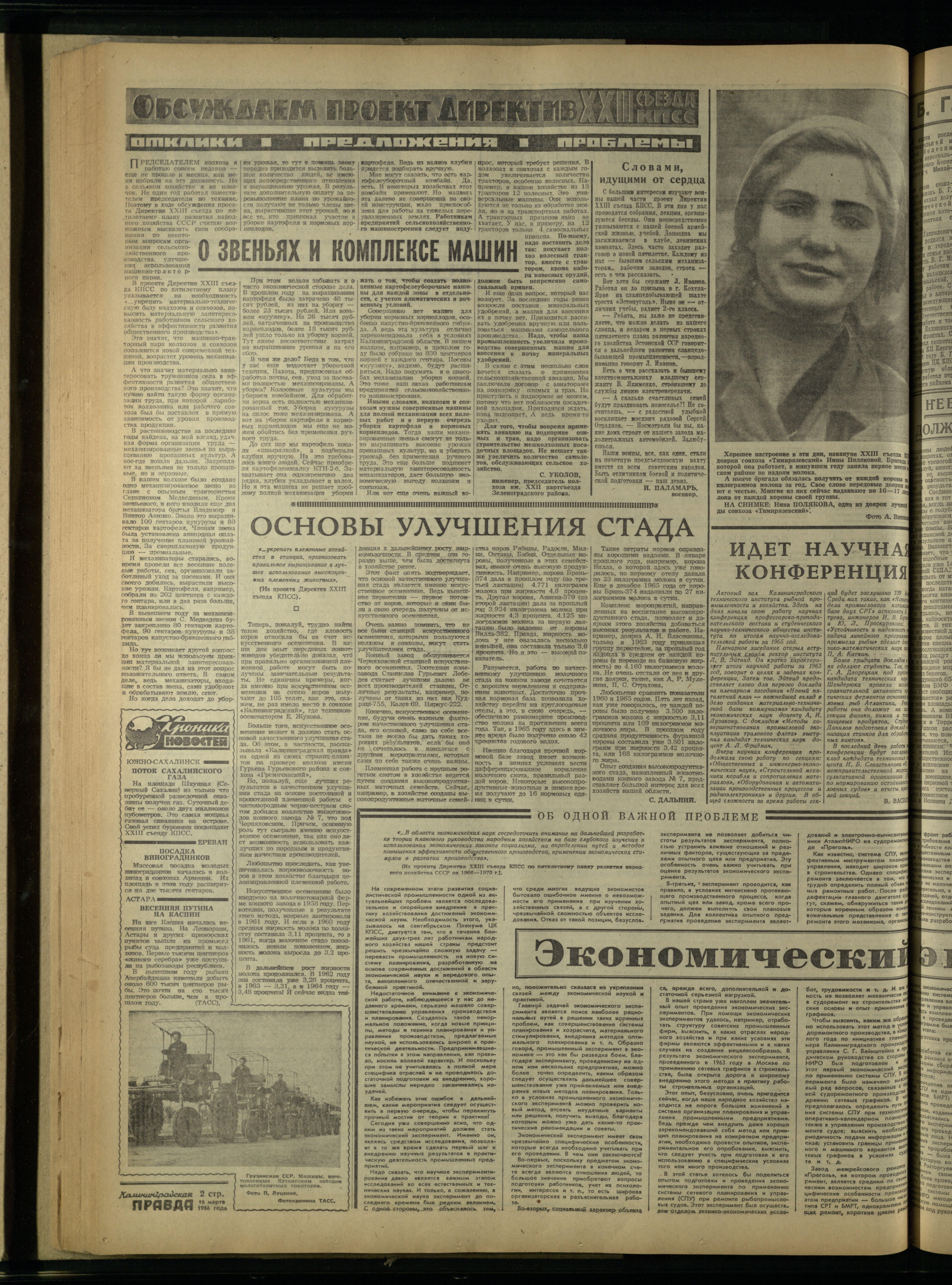 62-3-66-2